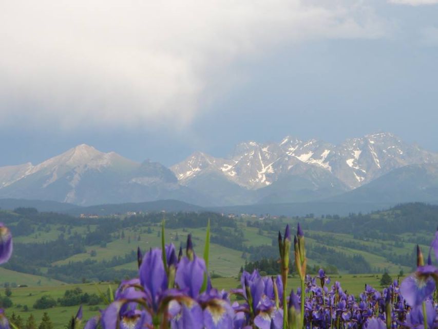 From Krakow: Zakopane and Tatra Mountains Full-Day Tour - Complete Itinerary of the Tour