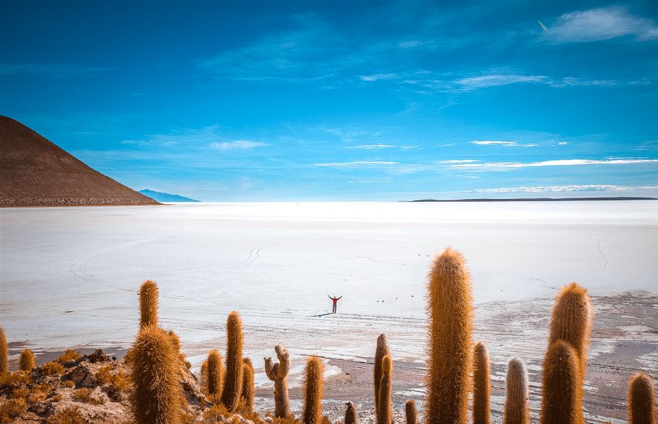 From La Paz: 4-Day Trip to San Pedro De Atacama W/Salt Flats - Inclusions