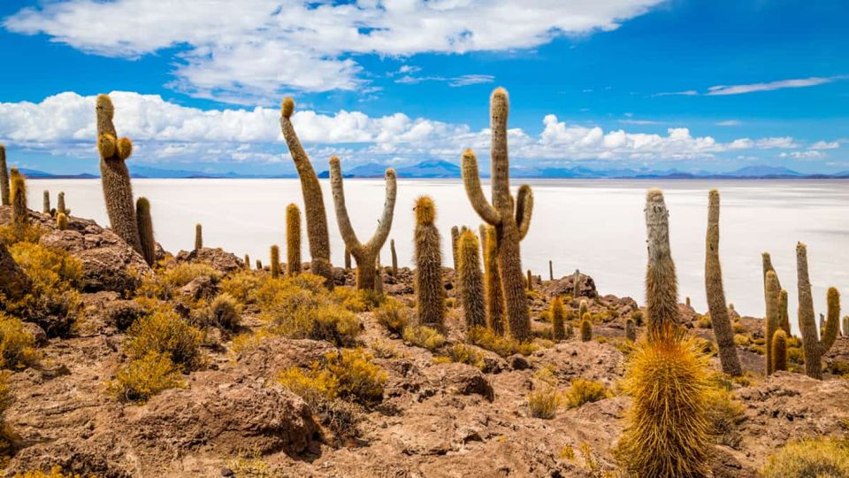 From La Paz: Salar De Uyuni 2d/1n With All Inclusive - Detailed Itinerary
