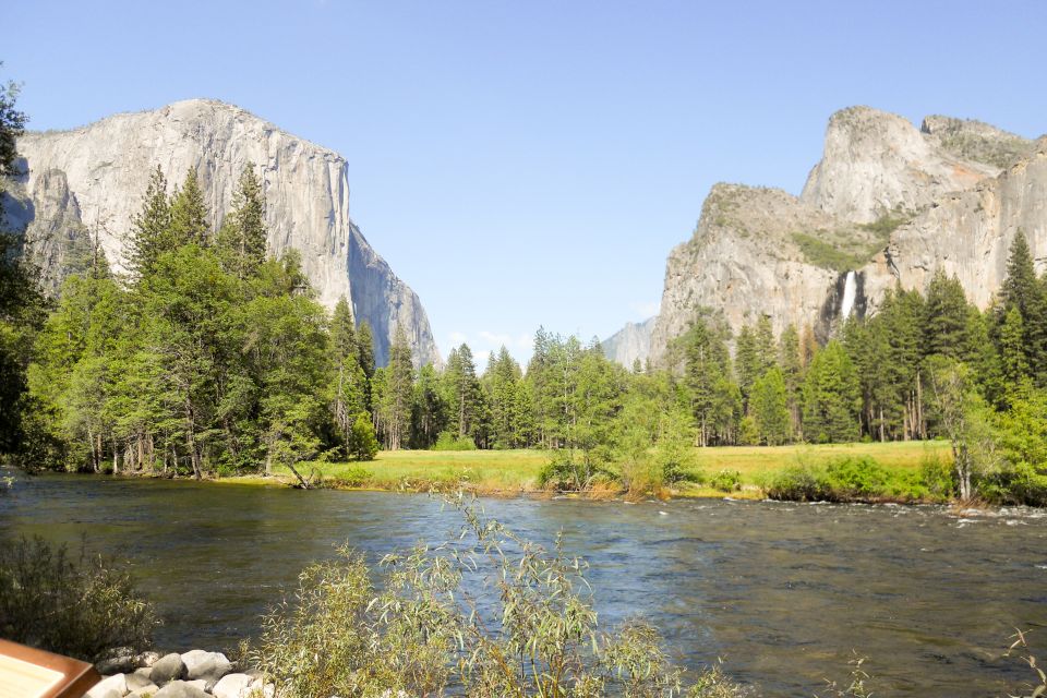 From Lake Tahoe: Yosemite National Park Day Trip With Lunch - Service Ratings and Reviews