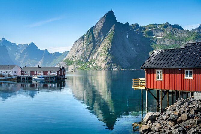 From Leknes Port: Special Summer Guided Tour of Lofoten - Traveler Reviews and Ratings Analysis