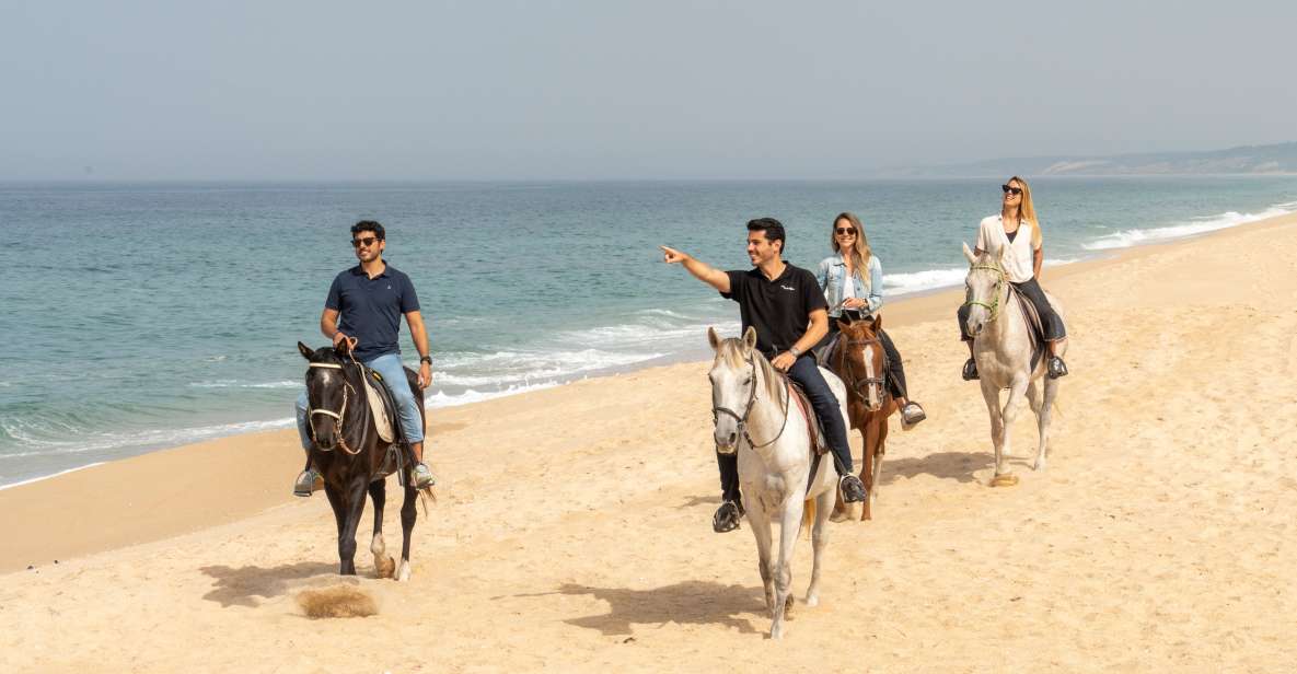 From Lisbon: Comporta and Setúbal Trip With Horseback Riding - Booking Information