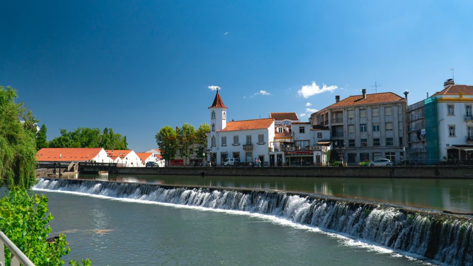 From Lisbon: Knights Templar in Tomar Private Day Trip - Driver and Pickup Information