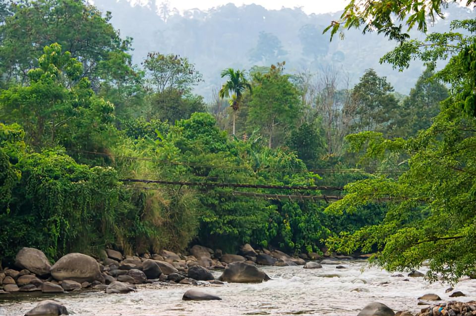 From Medan: Mount Leuser National Park Full-Day Trip - Reservation Details and Payment Options