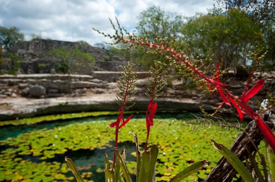 From Mérida: Dzibichaltún, El Corchito, and Progreso Trip - Xlaka Cenote Exploration