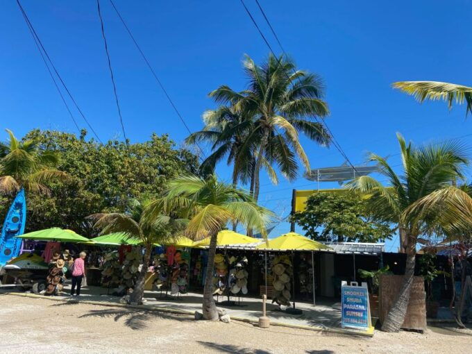 From Miami: Key Largo & Islamorada Private Open-Top Bus Tour - Key Largo Exploration