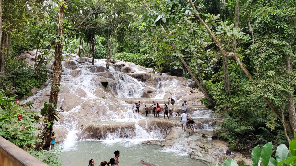 From Montego Bay: Dunn's River Falls Experience - Experience Highlights at the Falls