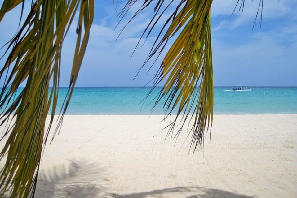 From Montego Bay: Negril Beach and Rick's Café Day Trip - Booking Information