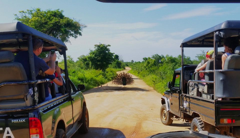 From Negombo: Udawalawa National Park Wildlife Safari - Tour Highlights