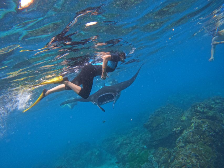 From Nusa Penida: 3 Spots Snorkeling Tour With Manta Rays - Manta Ray Encounter Tips