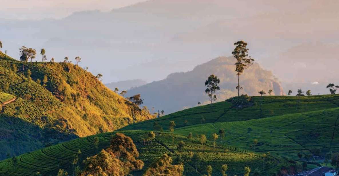 From Nuwara Eliya: Haputale Highlands Private Day Tour - Tour Itinerary