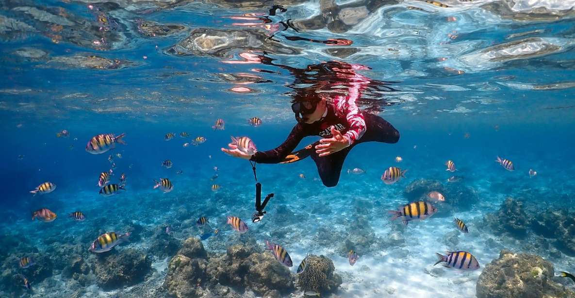 From Phuket: Racha Islands Speedboat Tour With Snorkel - Safety and Comfort