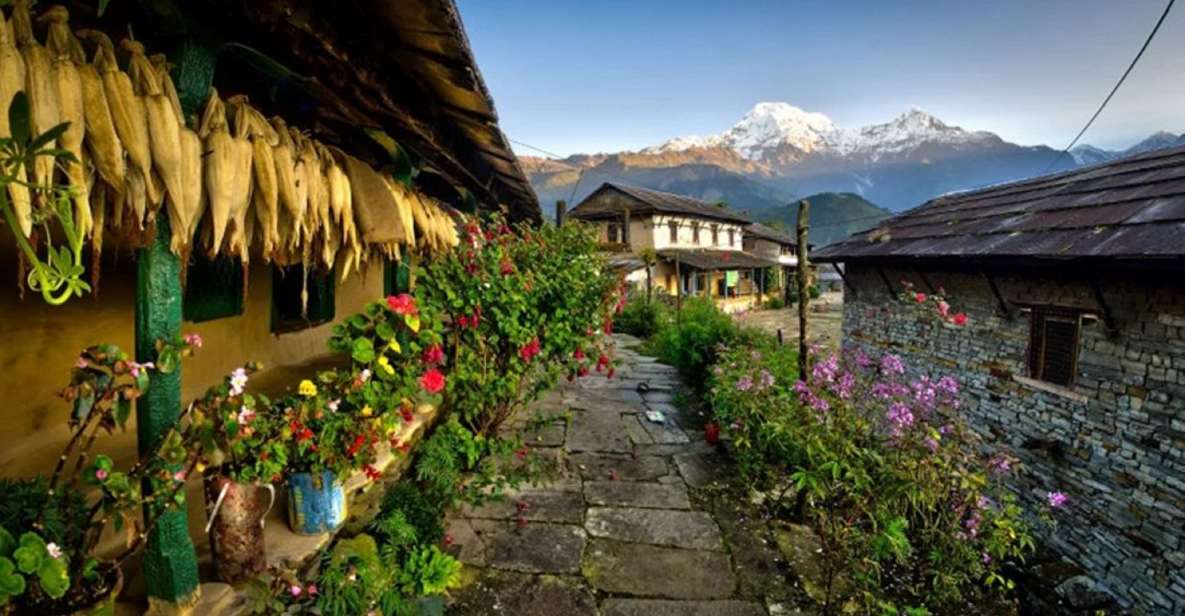 From Pokhara: 1 Night 2 Day Ghandruk Tour by 4w Jeep - Itinerary Details