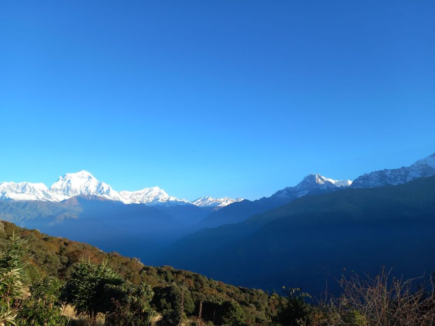 From Pokhara: 2-Day Trek to Australian Camp & Dhampus - Trek Itinerary Highlights