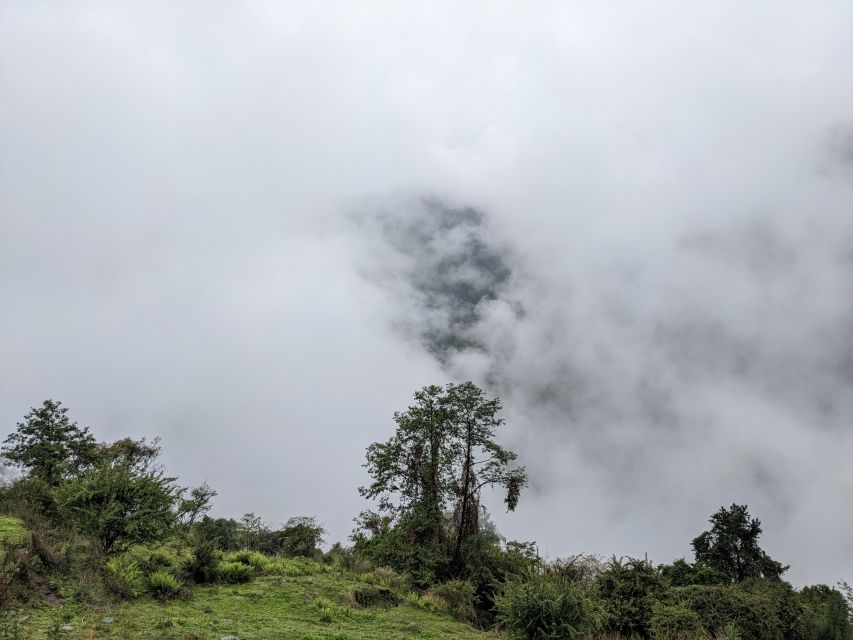 From Pokhara: 3 Days Poon Hill Trek - Detailed Itinerary