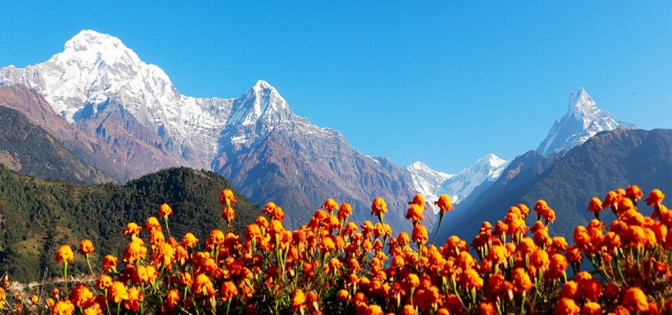 From Pokhara: 5-Day Poon-Hill & Ghandruk Himalayas Trek Tour - Day 2: Tikhedhunga/Ulleri to Ghorepani