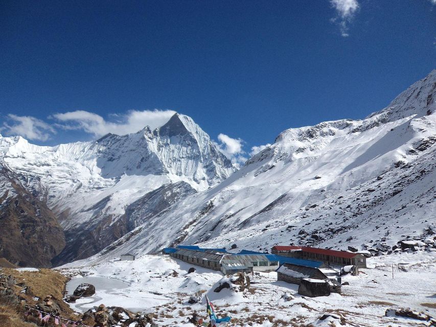 From Pokhara: Budget 5 Day Annapurna Basecamp Trek - Inclusions and Services Provided