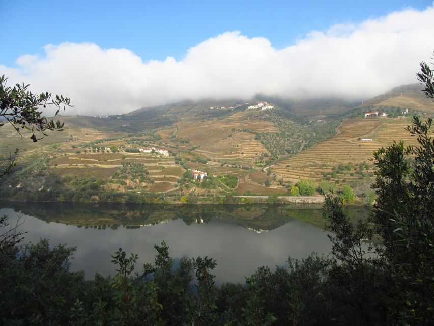 From Porto: Full-Day Douro Valley Wine Tour - Booking Information and Options