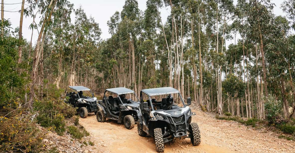 From Porto: Off-Road Buggy Adventure - Preparation and Safety