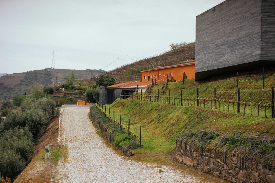 From Porto: Private City Escape to the Douro Valley Day Trip - Customer Reviews