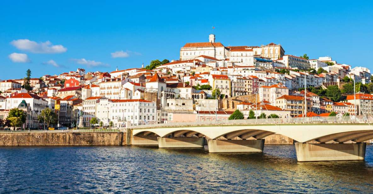 From Porto: Sanctuary of Fatima & Coimbra Private Day Trip - Review Summary of the Private Tour