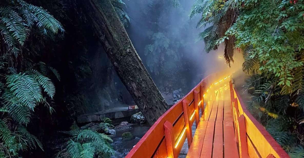 From Pucón: Geometric Hot Springs - Geometricas Hot Springs