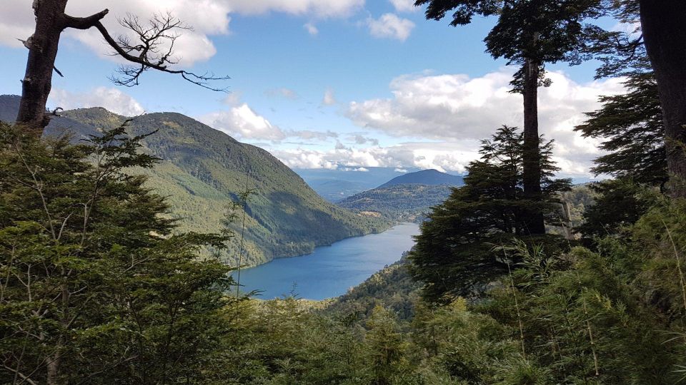 From Pucón: Huerquehue National Park Hiking Tour - Park Trek Details