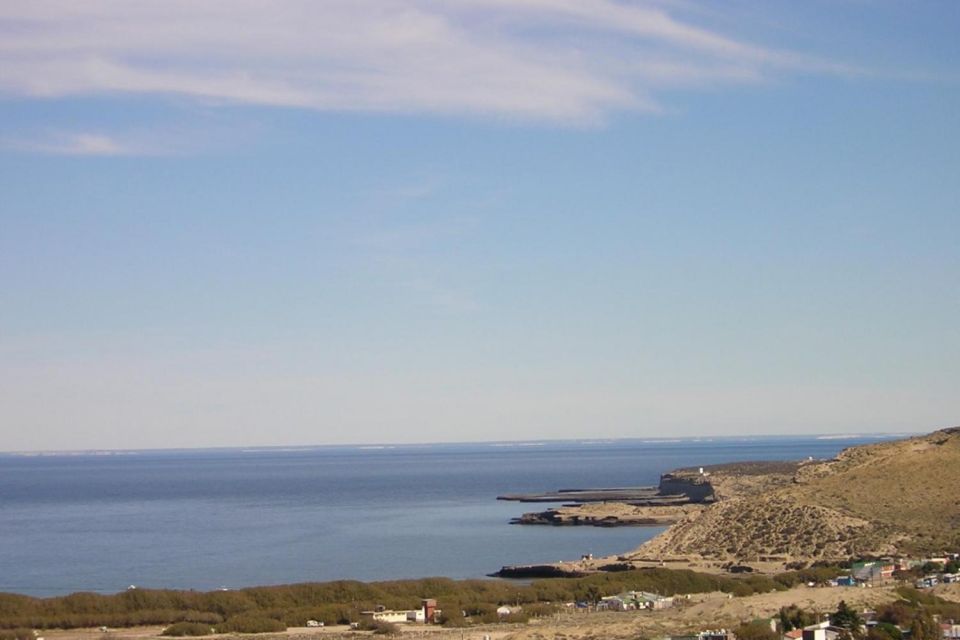 From Puerto Madryn: Punta Tombo Day Trip With Hotel Transfer - Review Summary