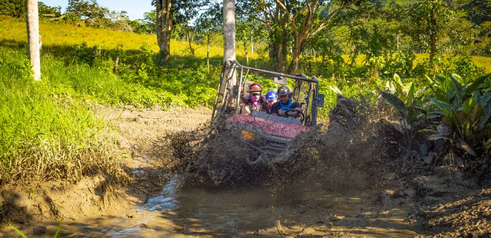From Punta Cana: Jungle Buggy Adventure to Anamuya River - Local Encounter: Dominican Home and Farm