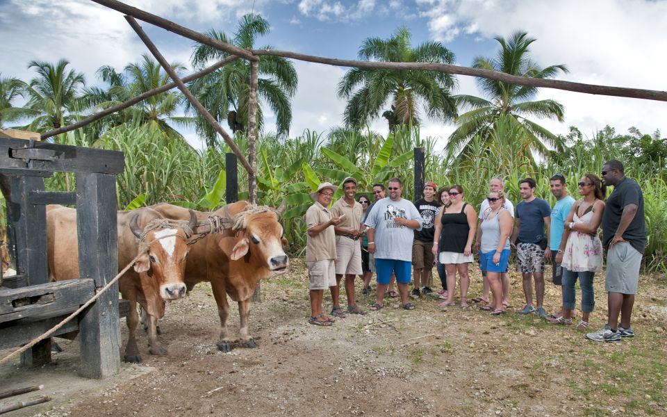 From Punta Cana: Safari Traditional Tour With Lunch - Tour Inclusions