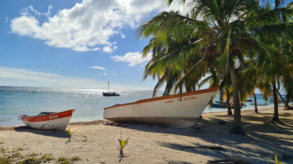 From Punta Cana: Saona Island Boat and Dune Buggy Combo Tour - Tour Details