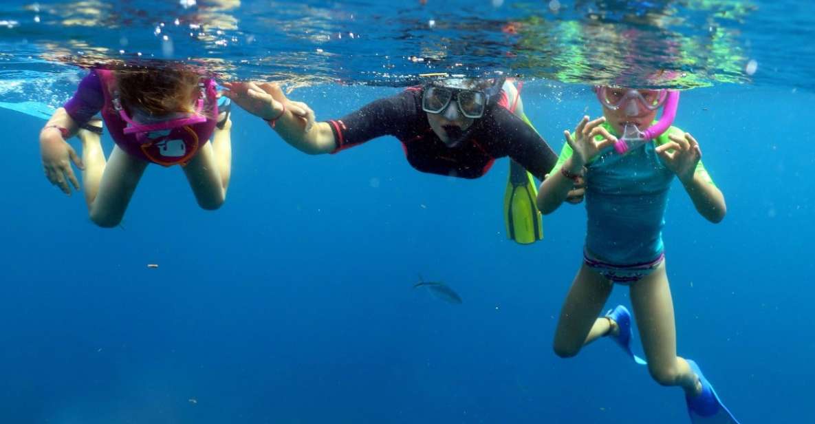 From Punta Cana: Small Group Catalina Island Snorkeling Tour - Transportation and Itinerary