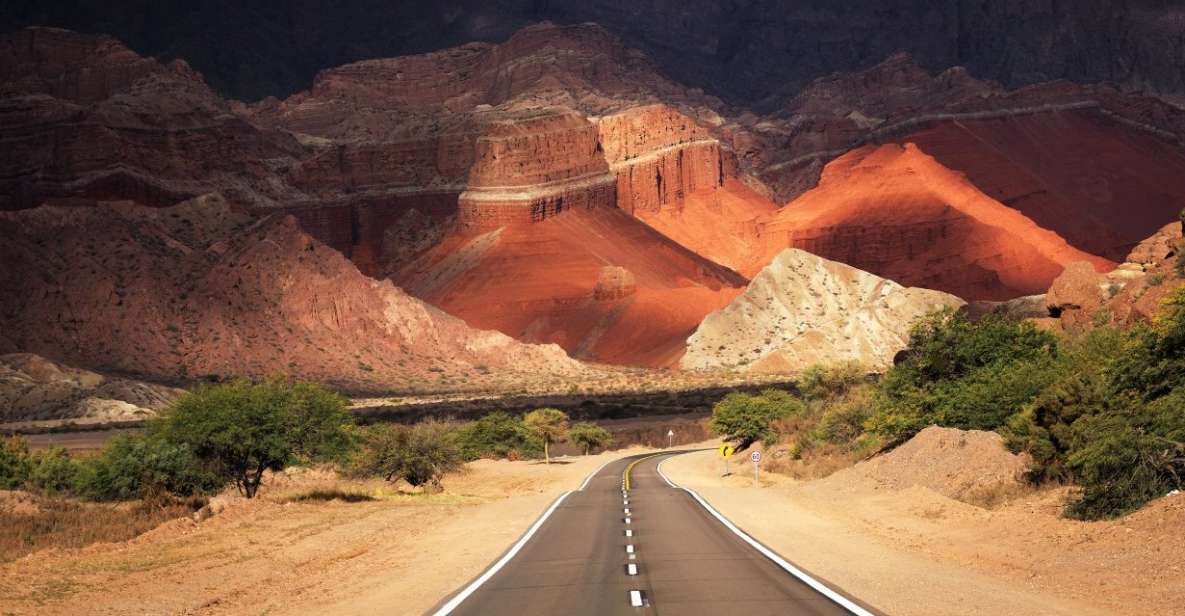 From Salta: Full-Day Excursions Through Cafayate and Cachi - Itinerary Highlights in Cafayate