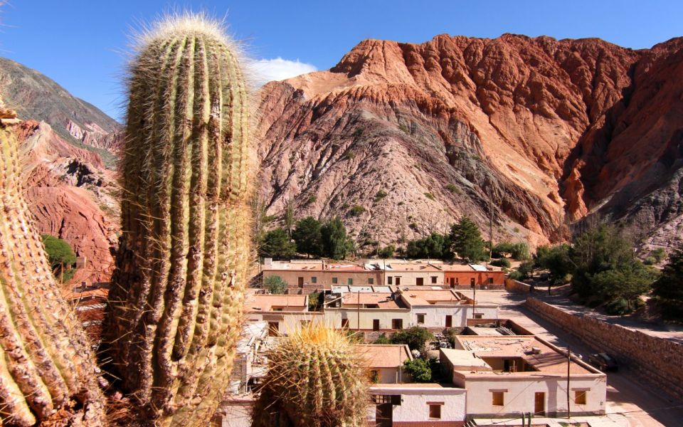 From Salta: Full-Day Tours of Cafayate and Salinas Grandes - Itinerary and Activities