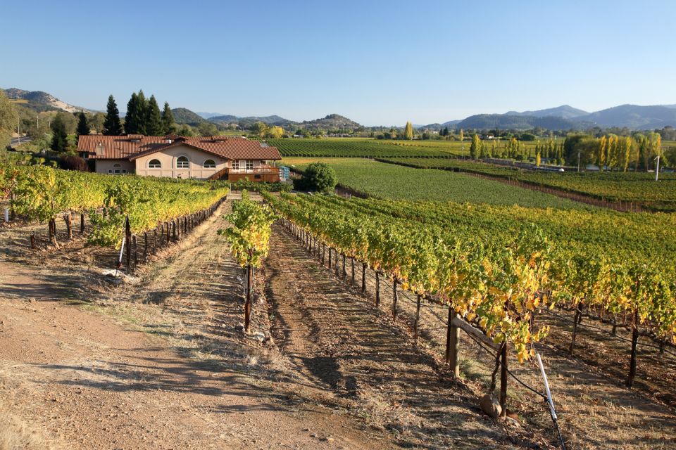 From San Francisco: Napa Valley Private Tour - Pickup and Drop-off