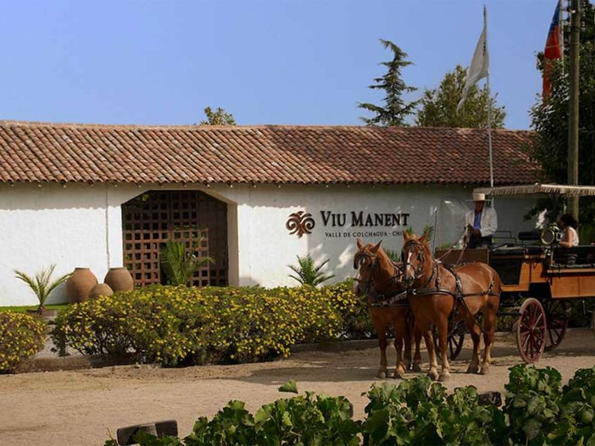 From Santiago: Private Colchagua Valley Wine Tour W/ Tasting - Wine Tasting Experience Highlights