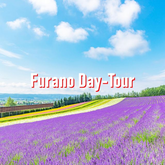 From Sapporo: 10-hour Customized Private Tour to Furano - Tour Highlights