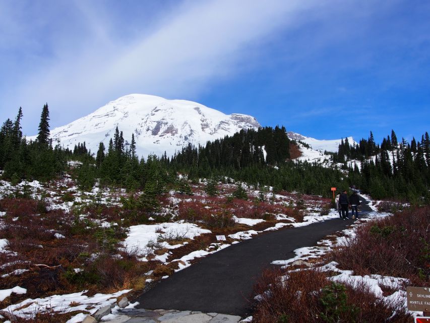 From Seattle: Mount Rainier Full-Day Tour - Tour Experience