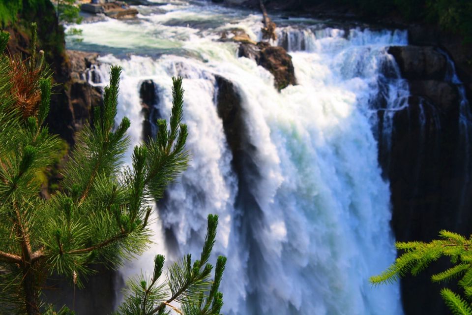 From Seattle: Snoqualmie Falls & Woodinville Wine Tasting - Tour Highlights and Activities