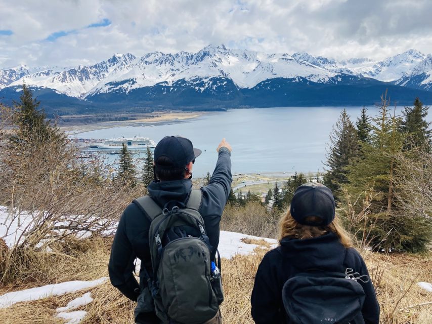 From Seward: 4-hour Wilderness Hiking Tour - Experience Highlights