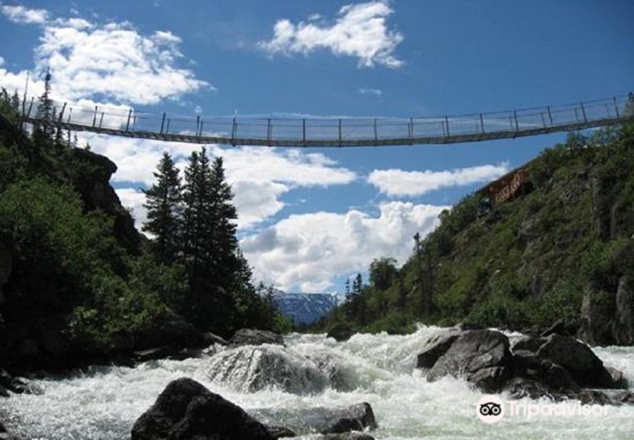 From Skagway: White Pass and Yukon Suspension Bridge Tour - Tour Experience