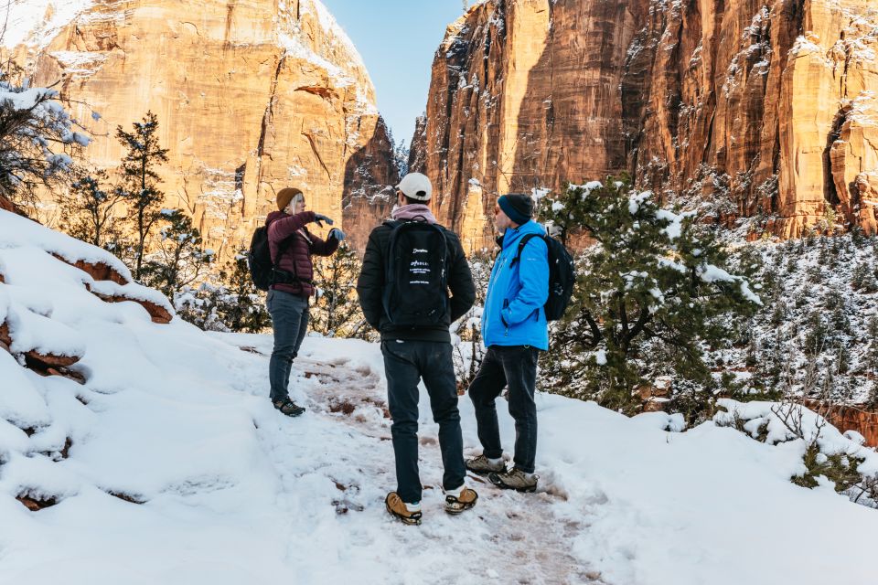 From Springdale: 4-hour Zion Canyon Scenic Hiking Tour - Private Group Experience and Availability