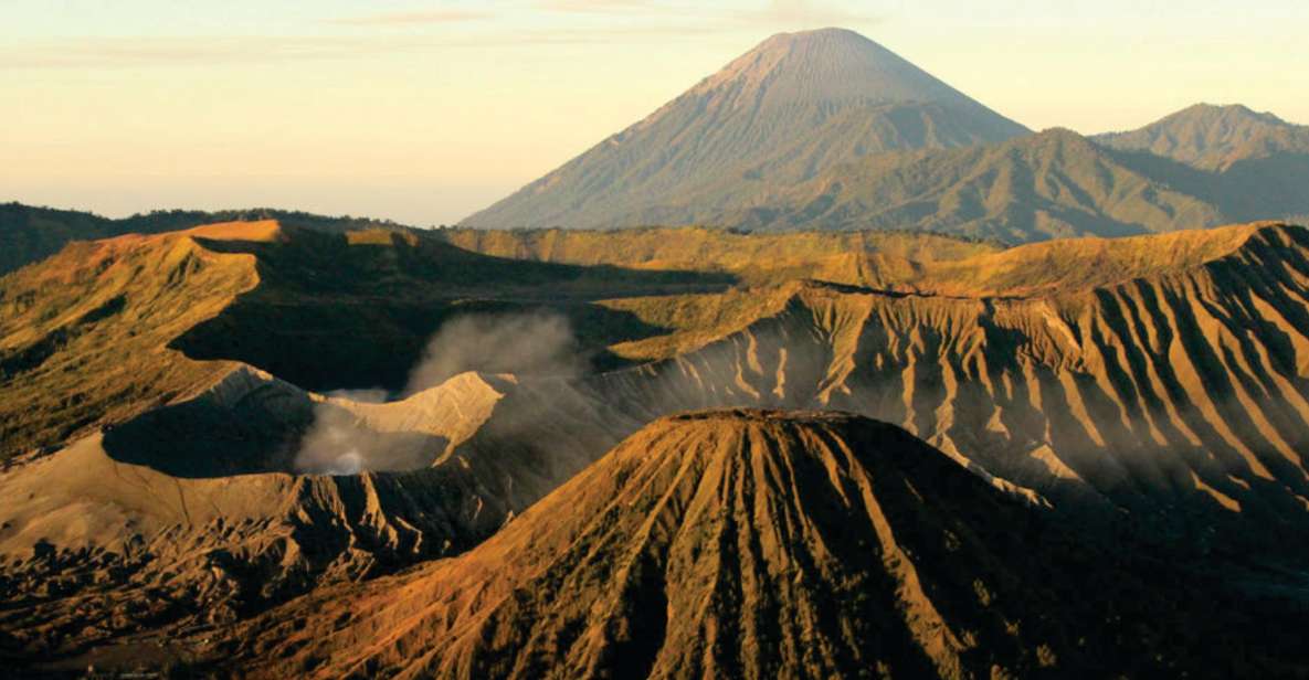 From Surabaya: Mt. Bromo Sunrise Private Trip - Transportation and Guide