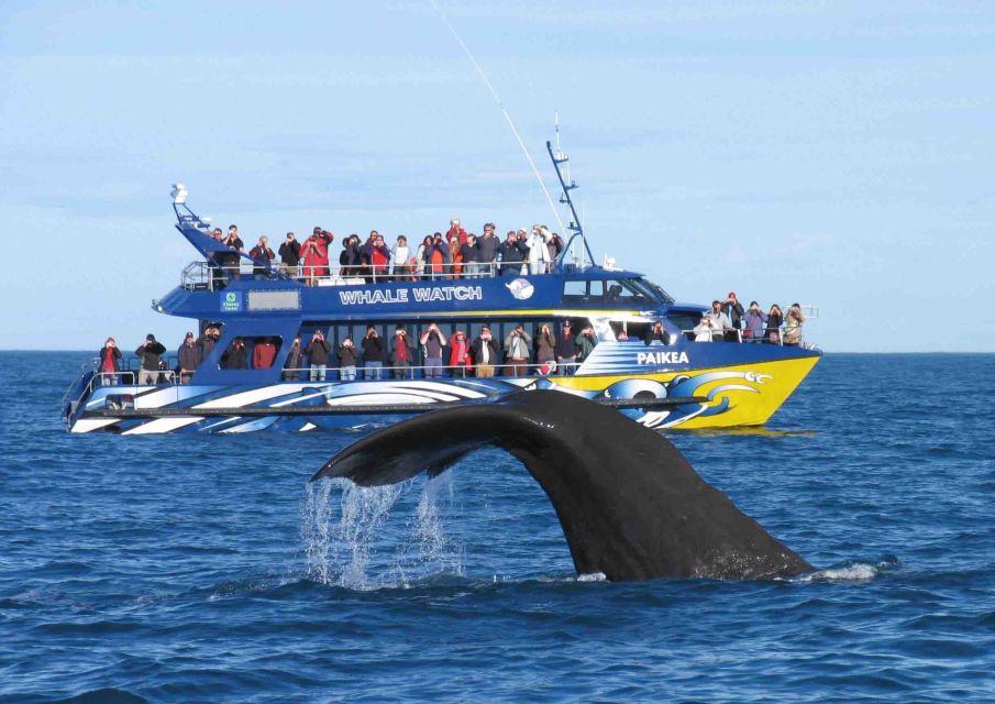 From Tangalle: Mirissa Whale Watching Tour With Breakfast - Customer Review