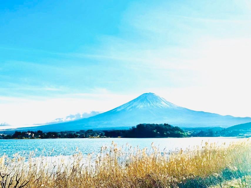 From Tokyo: Guided Day Trip to Kawaguchi Lake and Mt. Fuji - Review Summary