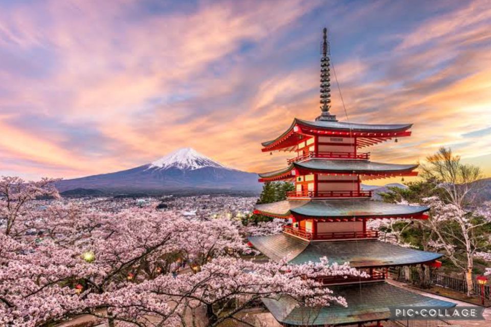 From Tokyo/Hakone/Fuji: Hakone & Mt. Fuji Day Trip W/Pickup - Sightseeing Highlights