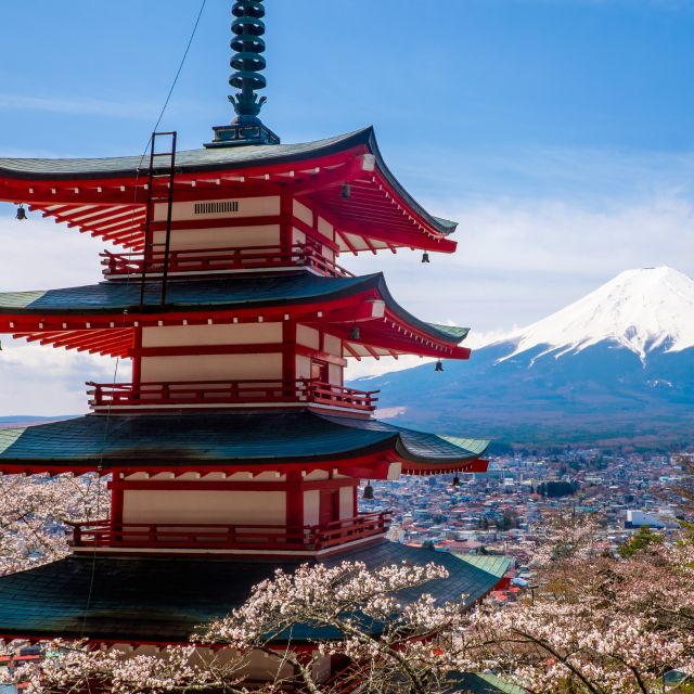 From Tokyo: Mount Fuji and Hakone Private Day Trip - Customer Reviews