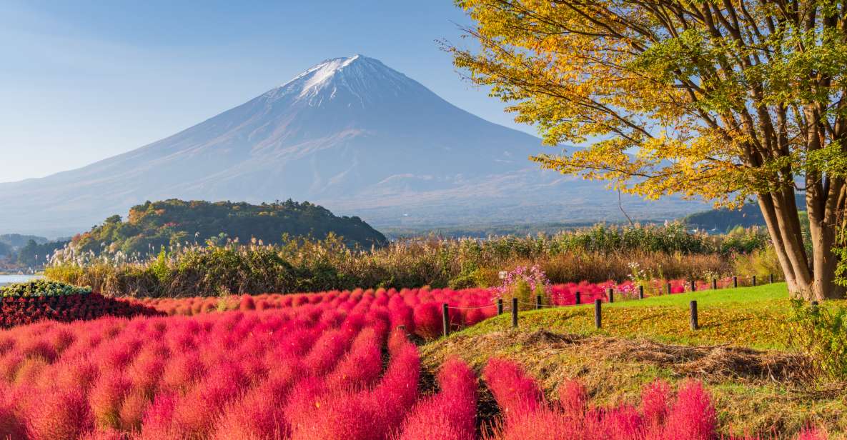 From Tokyo: Mount Fuji Highlights Private Day Tour - Full Description