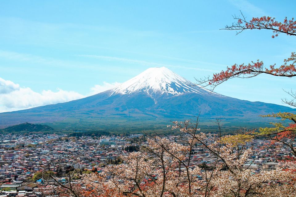 From Tokyo: Mt. Fuji Full-Day Sightseeing Trip - Inclusions