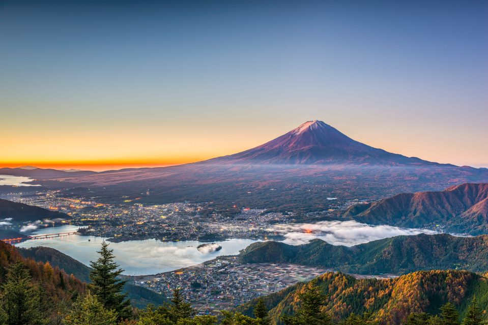 From Tokyo: Mt. Fuji or Hakone Private Sightseeing Day Trip - Itinerary B Highlights